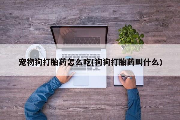 卖正品米索前列醇片微信宠物狗打胎药怎么吃(狗狗打胎药叫什么)