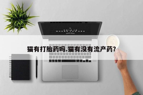 卖正品米索前列醇片微信猫有打胎药吗.猫有没有流产药？