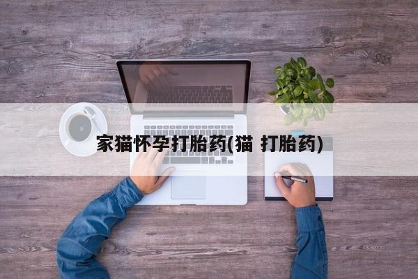 卖正品米索前列醇片微信家猫怀孕打胎药(猫 打胎药)